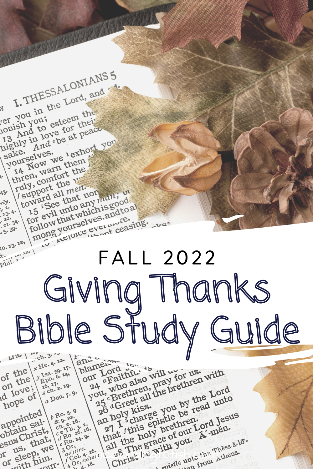 giving thanks bible study