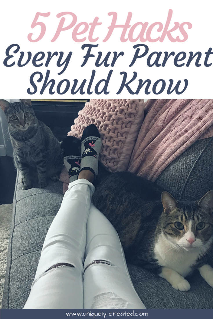 5 Pet Hacks Every Fur Parent Should Know