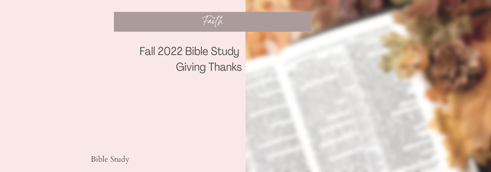 give thanks bible study